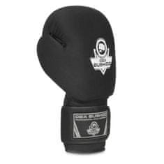 DBX BUSHIDO boxerské rukavice DBX-B-W EverCLEAN 8 oz