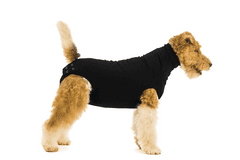 Suitical Pooperačné ochranné oblečenie pre psa čierne 22 - 35cm