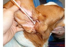 OTOM Bambusové vatové tyčinky na čistenie uší pre psa S/M