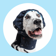 Pooperačná ochrana hlavy a uší pre psa ochranná ušianka XS