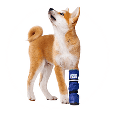 Pooperačná ochranná topánka pre psa XS