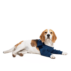 MPS Pooperačné ochranné oblečenie na obe predné nohy psa 10cm, obvod hrudníku: 27-33 cm