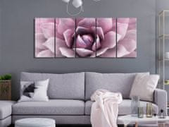 Artgeist Obraz - Agáva - ružová 200x80 obraz na plátne s dreveným rámom