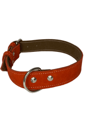 Palkar Obojok z velúrovej kože pre psov 55 cm x 30 mm červená