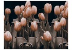 Artgeist Fototapeta - Dámy medzi kvetmi 250x193 vlísová tapeta na stenu