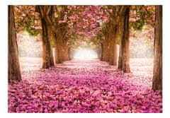 Artgeist Fototapeta - Ružový raj 250x175 vlísová tapeta na stenu