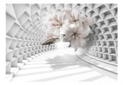 Artgeist Fototapeta - Kvety v tuneli 350x245 vlísová tapeta na stenu