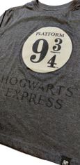 SETINO Chlapčenské bavlnené pyžamo "Harry Potter" sivá 134 / 8–9 rokov Sivá