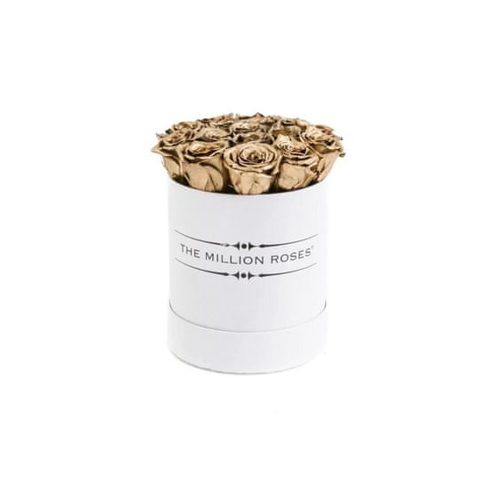 The Million Roses Basic box - zlaté trvácne ruže