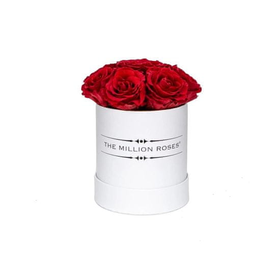 The Million Roses  Basic box - červené trvácne ruže