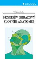 Grada Feneisov obrazový slovník anatómie -9.vy