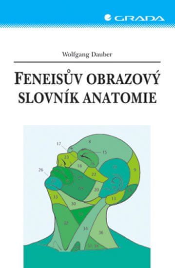 Grada Feneisov obrazový slovník anatómie -9.vy