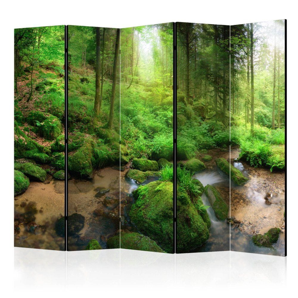Artgeist Paraván - Mokrý les II 225x172 plátno na drevenom ráme obojstranná potlač