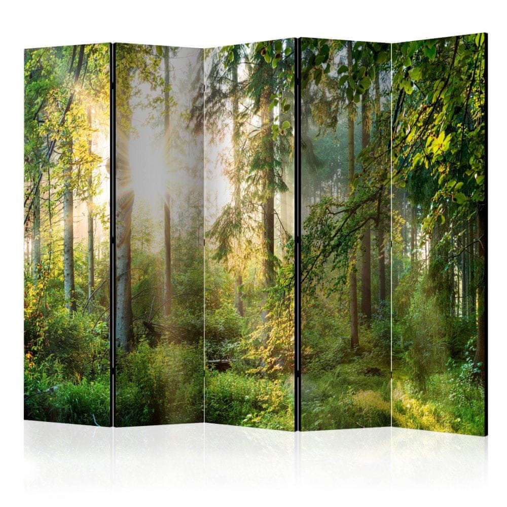 Artgeist Paraván - Neskrotná príroda II 225x172 plátno na drevenom ráme obojstranná potlač