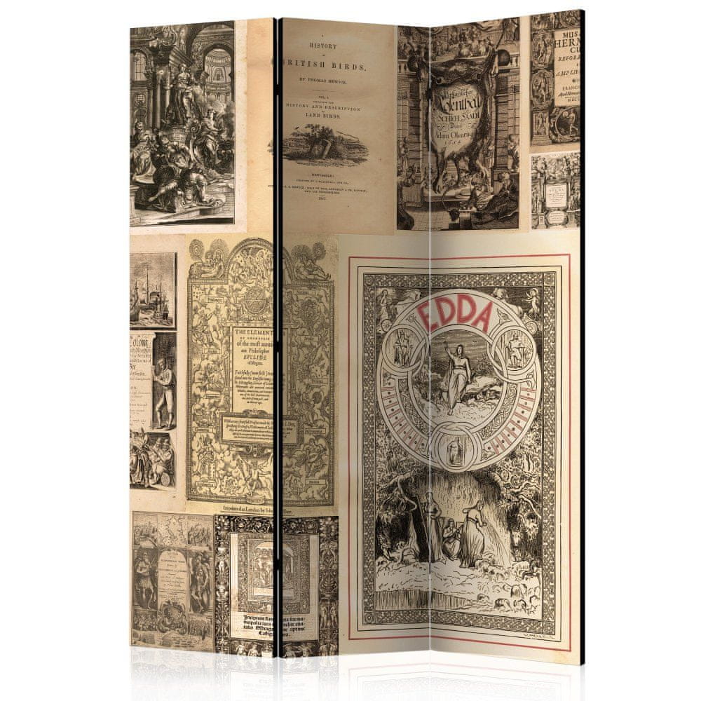 Artgeist Paraván - Historické knihy 135x172 plátno na drevenom ráme obojstranná potlač