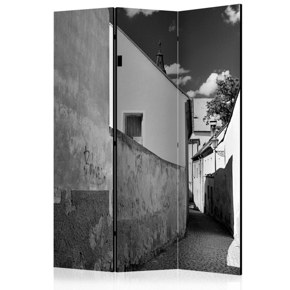 Artgeist Paraván - Úzka ulica 135x172 plátno na drevenom ráme obojstranná potlač
