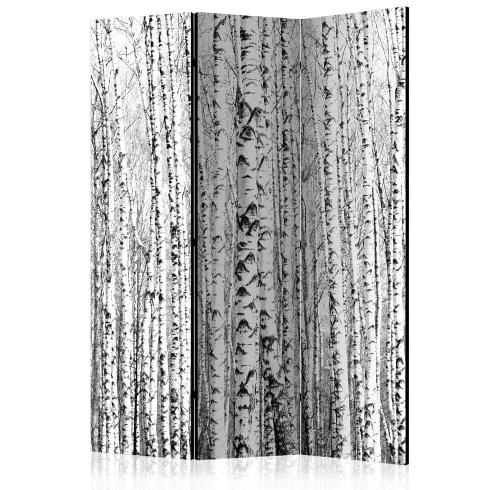 Artgeist Paraván - Brezový les 135x172 plátno na drevenom ráme obojstranná potlač