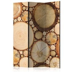 Artgeist Paraván - Letokruhy 135x172 plátno na drevenom ráme obojstranná potlač