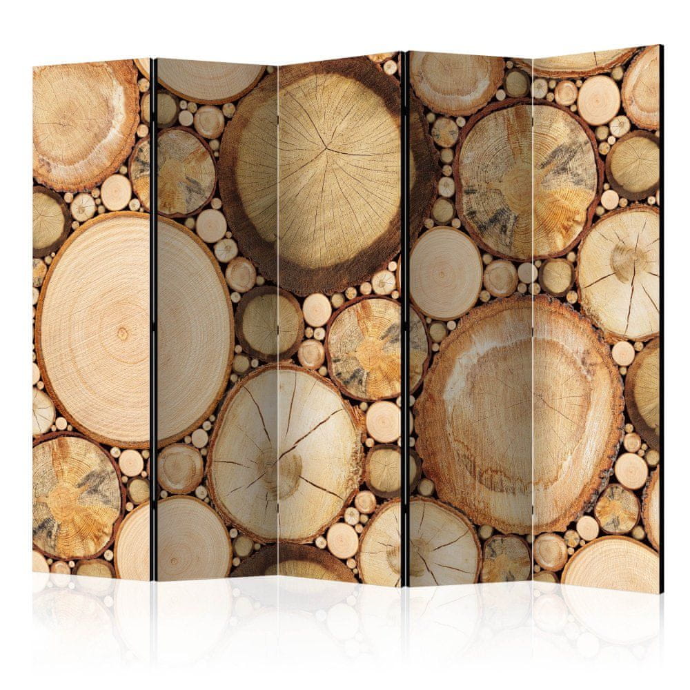 Artgeist Paraván - Letokruhy II 225x172 plátno na drevenom ráme obojstranná potlač