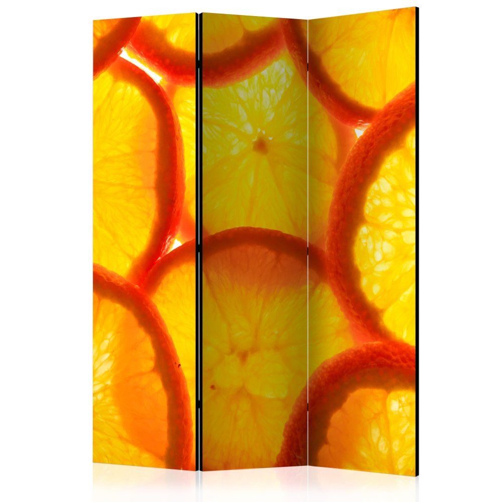 Artgeist Paraván - Plátky pomaranča 135x172 plátno na drevenom ráme obojstranná potlač