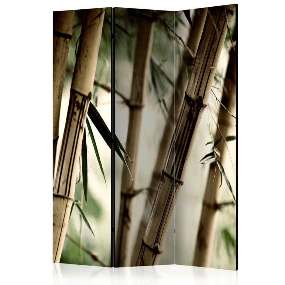 Artgeist Paraván - Hmla a bambusový les 135x172 plátno na drevenom ráme obojstranná potlač