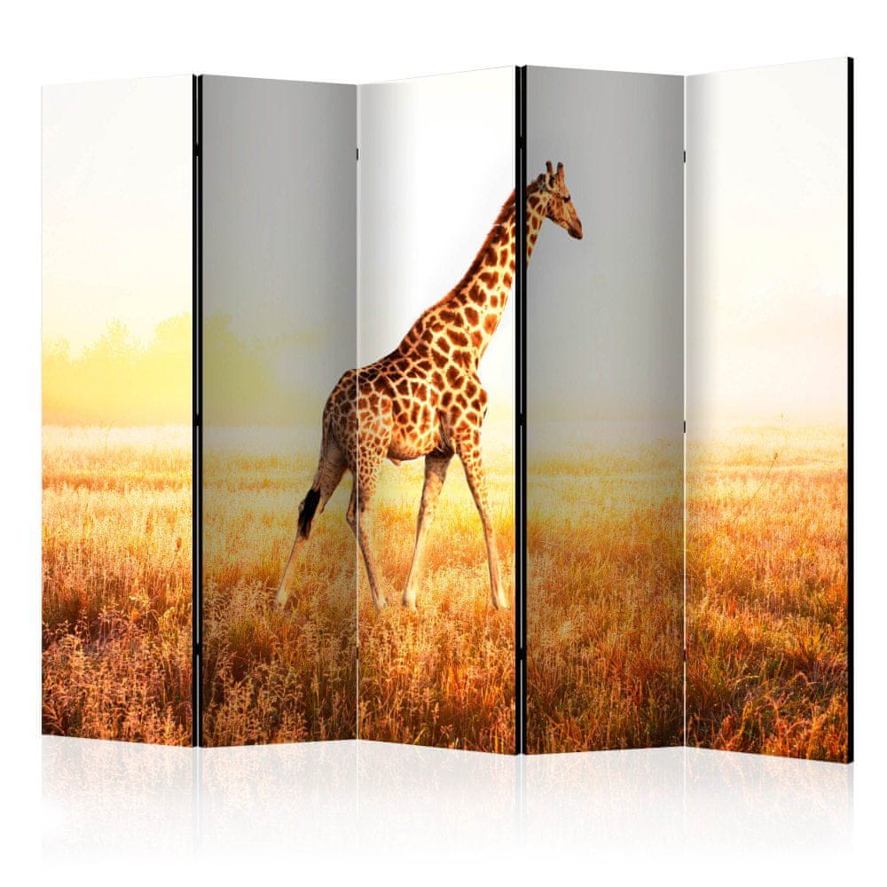 Artgeist Paraván - Žirafa - prechádzka II 225x172 plátno na drevenom ráme obojstranná potlač