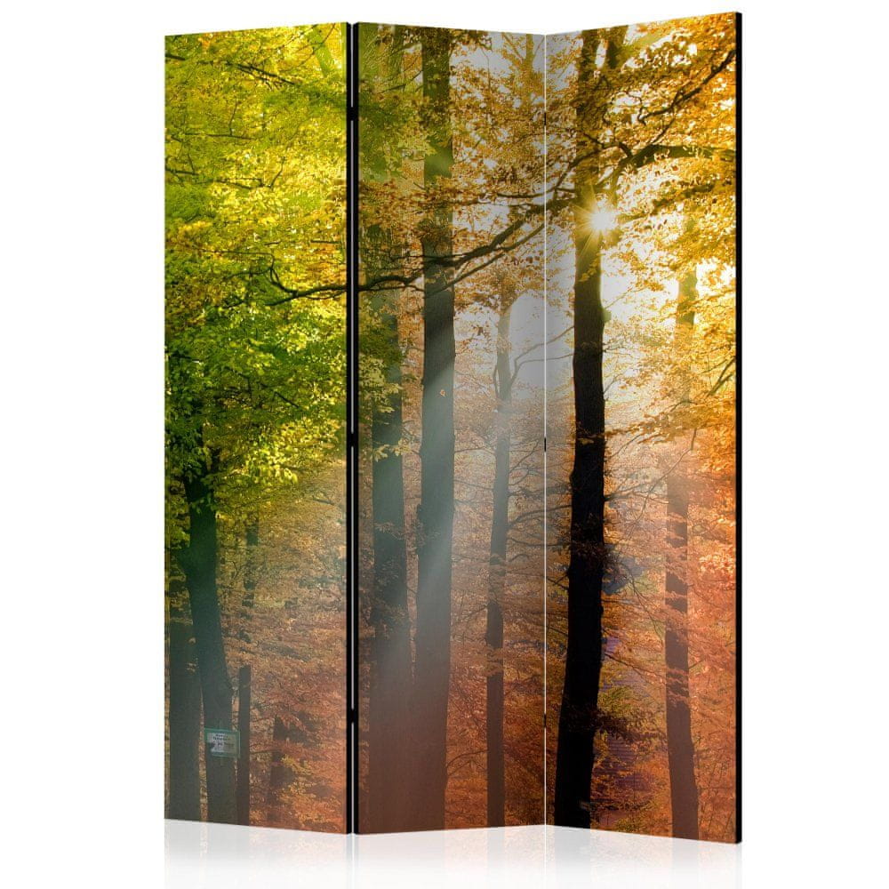 Artgeist Paraván - Farby lesa 135x172 plátno na drevenom ráme obojstranná potlač