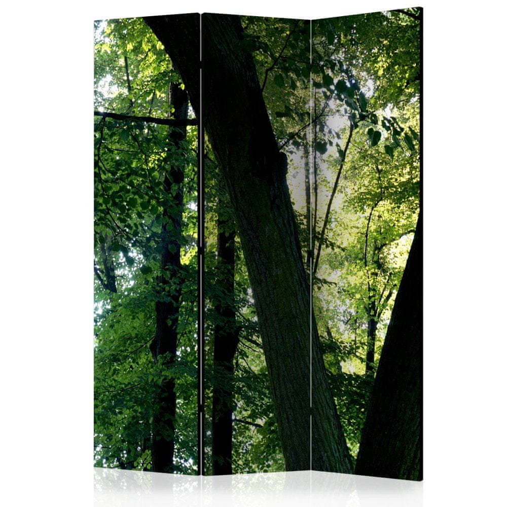 Artgeist Paraván - Jar v parku 135x172 plátno na drevenom ráme obojstranná potlač