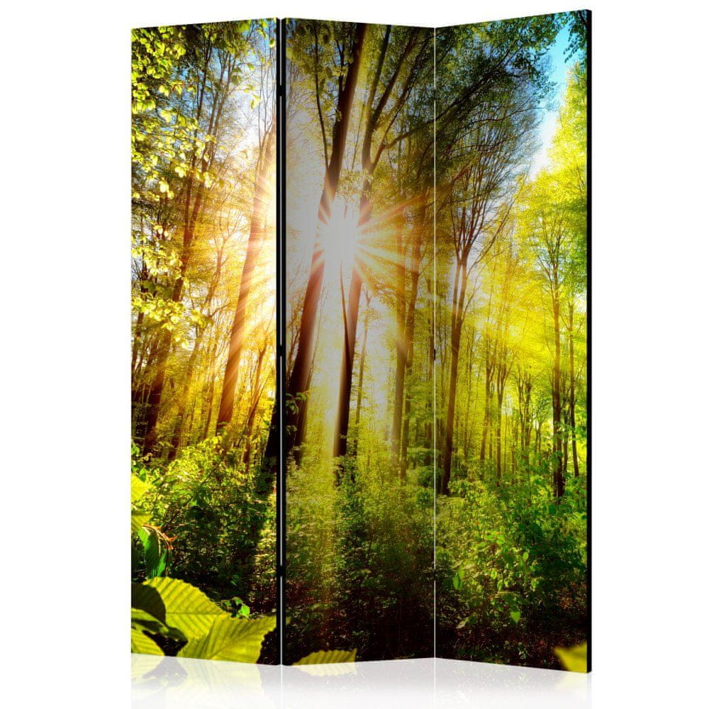 Artgeist Paraván - Lesný prístrešok 135x172 plátno na drevenom ráme obojstranná potlač