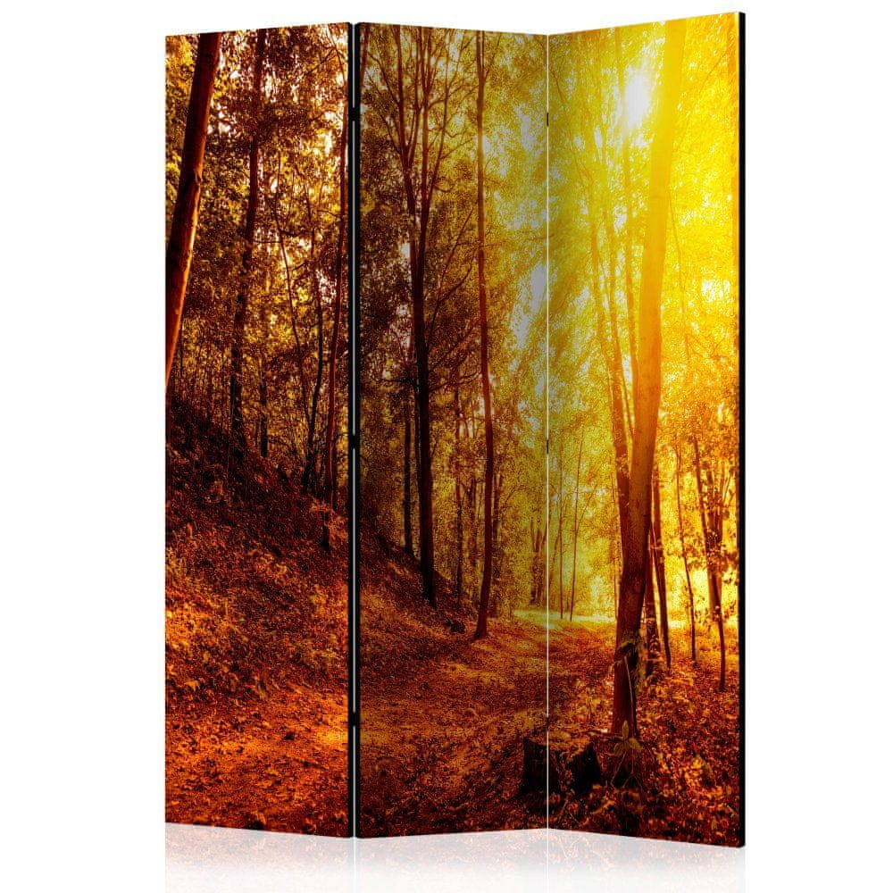 Artgeist Paraván - Jesenná prechádzka 135x172 plátno na drevenom ráme obojstranná potlač