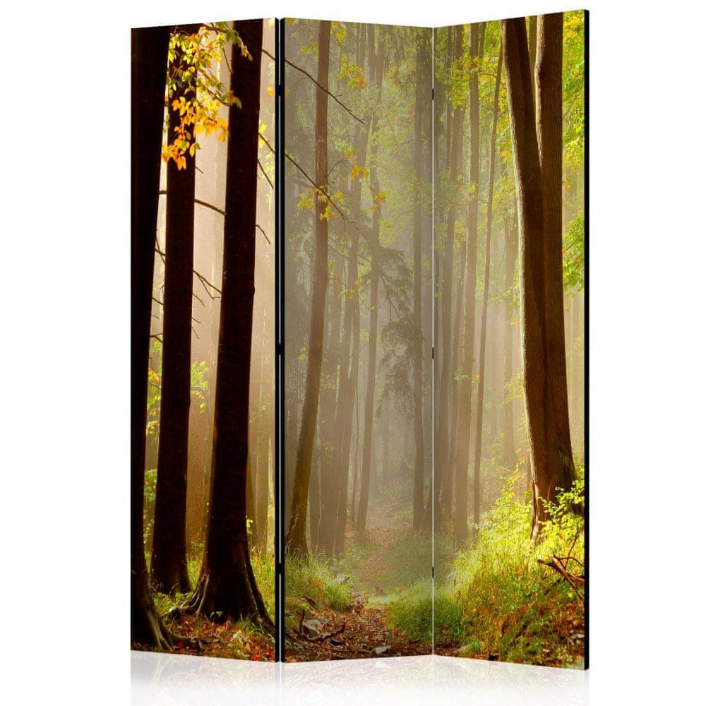 Artgeist Paraván - Tajomná lesná cesta 135x172 plátno na drevenom ráme obojstranná potlač