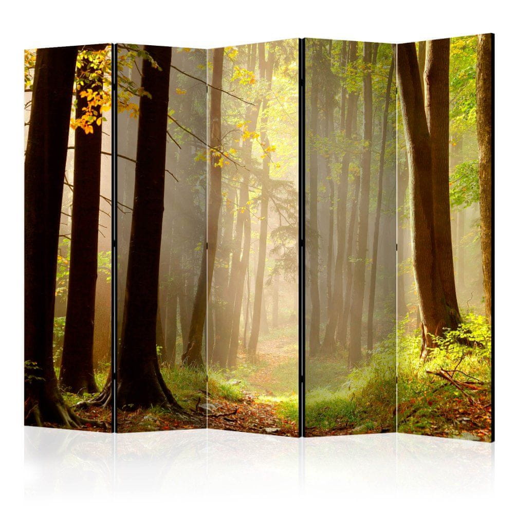 Artgeist Paraván - Tajomná lesná cesta II 225x172 plátno na drevenom ráme obojstranná potlač