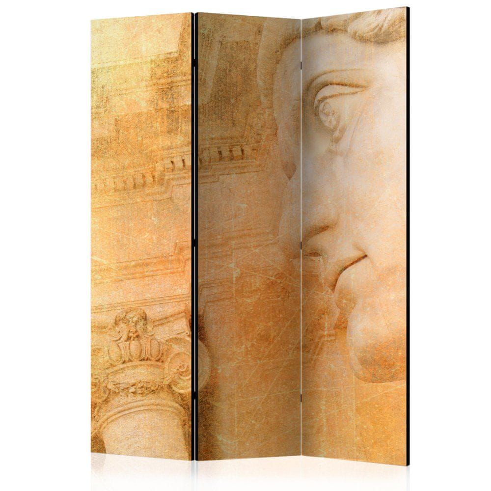 Artgeist Paraván - Grécky boh 135x172 plátno na drevenom ráme obojstranná potlač