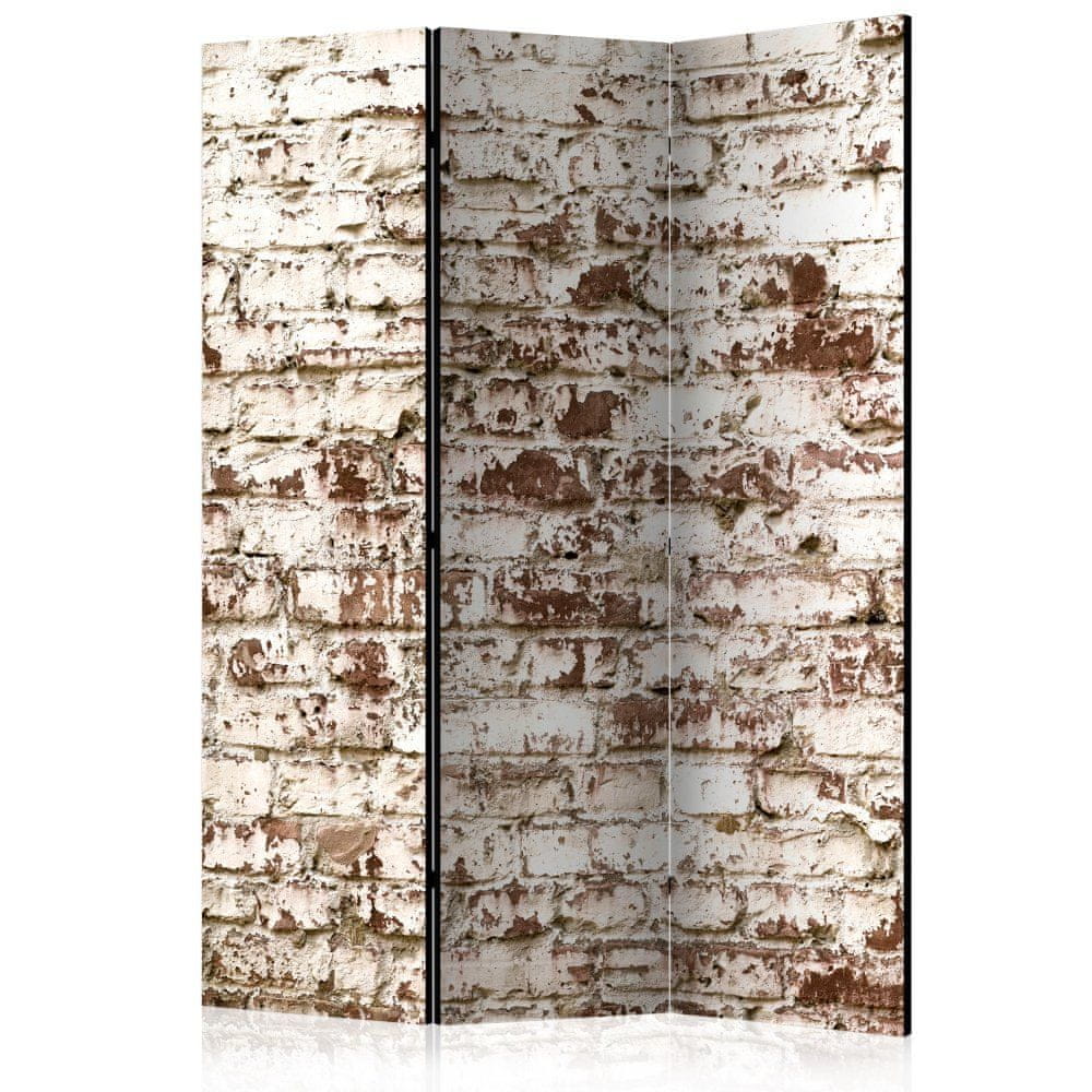 Artgeist Paraván - Zázrak času 135x172 plátno na drevenom ráme obojstranná potlač