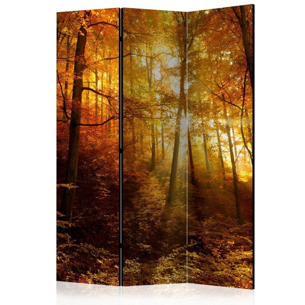 Artgeist Paraván - Jesenné osvetlenie 135x172 plátno na drevenom ráme obojstranná potlač