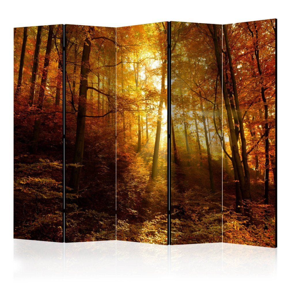 Artgeist Paraván - Jesenné osvetlenie II 225x172 plátno na drevenom ráme obojstranná potlač