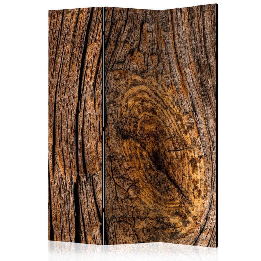 Artgeist Paraván - Starý strom 135x172 plátno na drevenom ráme obojstranná potlač