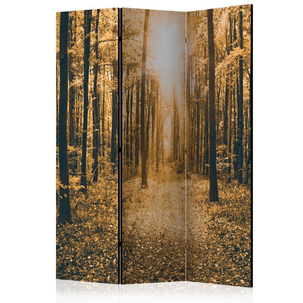 Artgeist Paraván - Magické svetlo 135x172 plátno na drevenom ráme obojstranná potlač