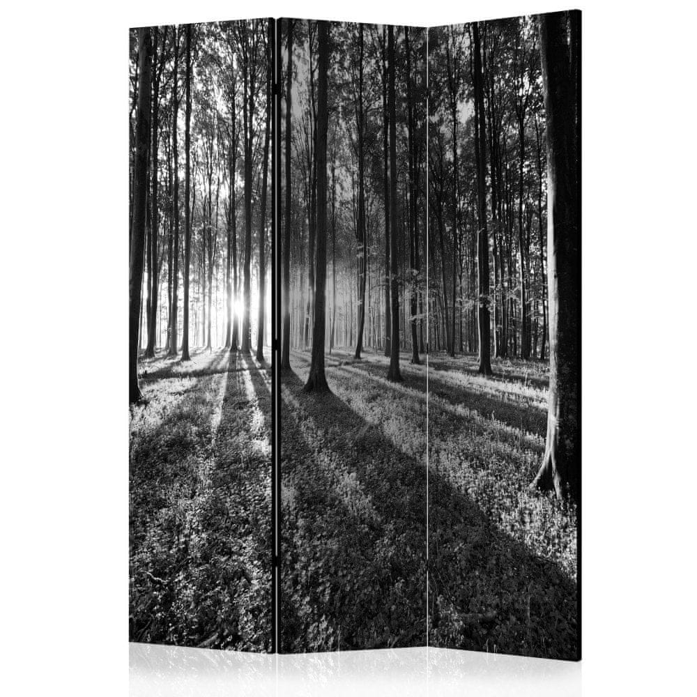 Artgeist Paraván - Sivá divočina 135x172 plátno na drevenom ráme obojstranná potlač