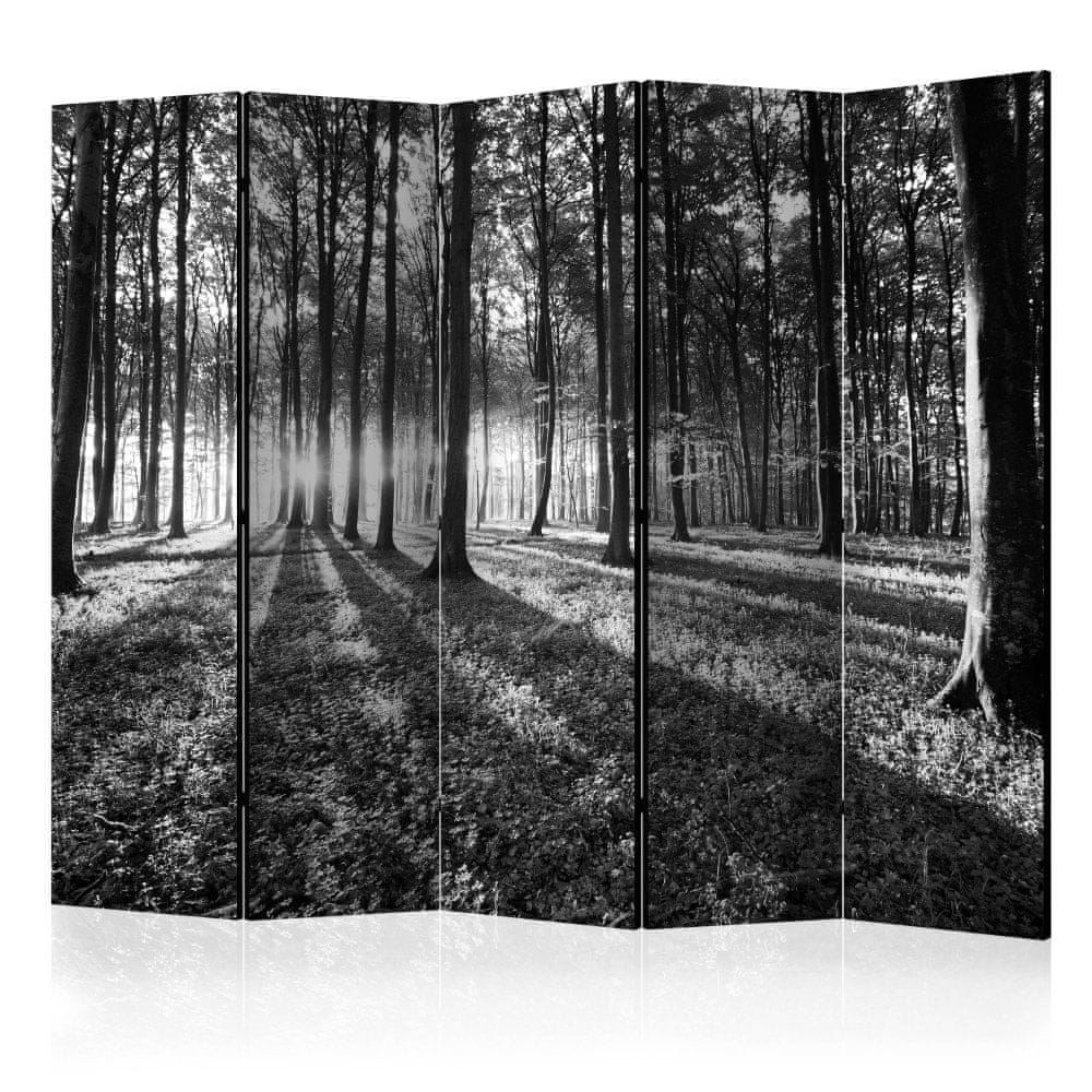 Artgeist Paraván - Sivá divočina II 225x172 plátno na drevenom ráme obojstranná potlač