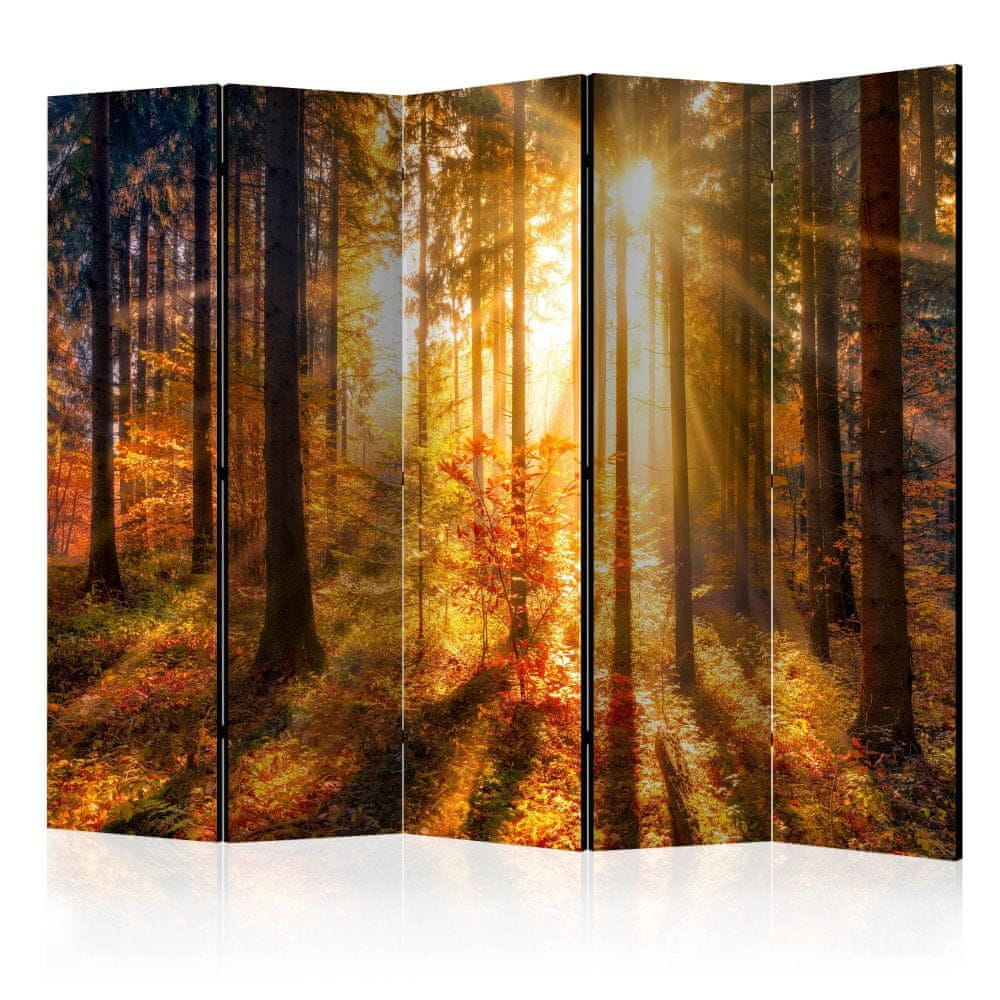Artgeist Paraván - Jesenné prebudenie II 225x172 plátno na drevenom ráme obojstranná potlač