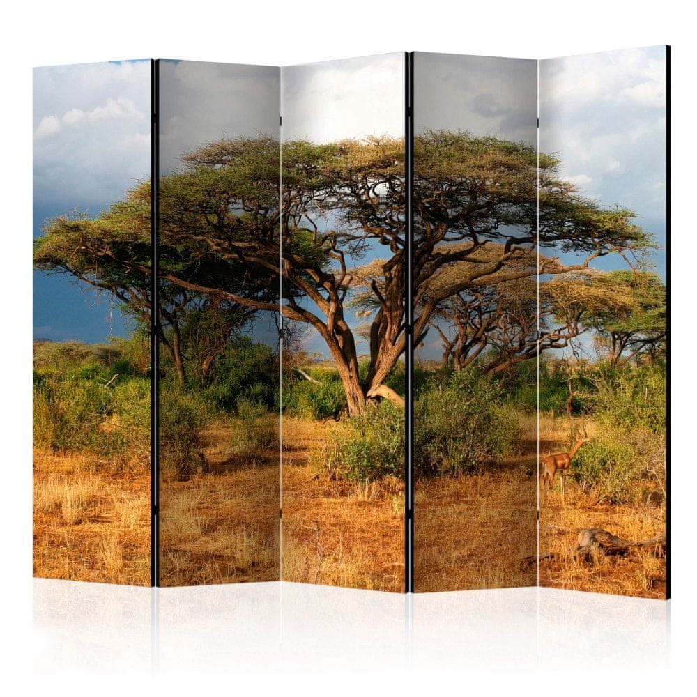 Artgeist Paraván - Národná rezervácia Samburu, Keňa II 225x172 plátno na drevenom ráme obojstranná potlač