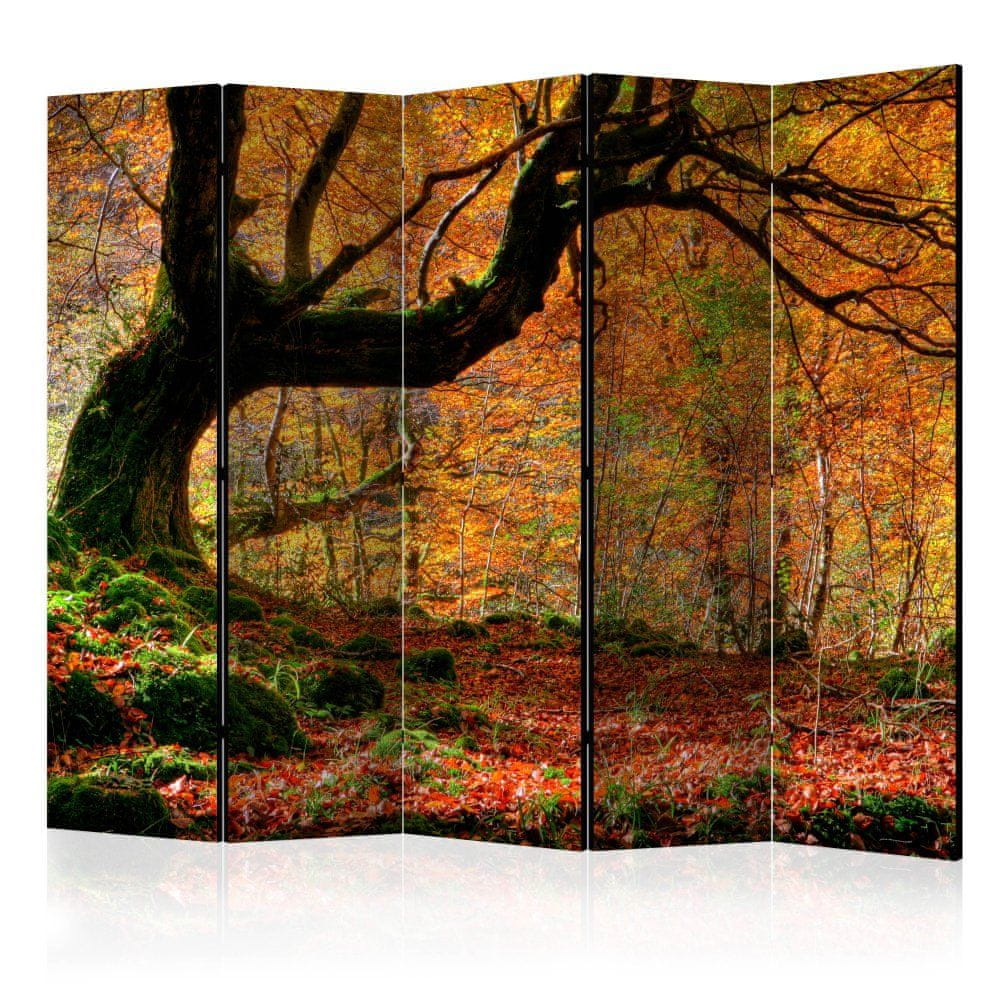Artgeist Paraván - Jeseň, les a listy II 225x172 plátno na drevenom ráme obojstranná potlač