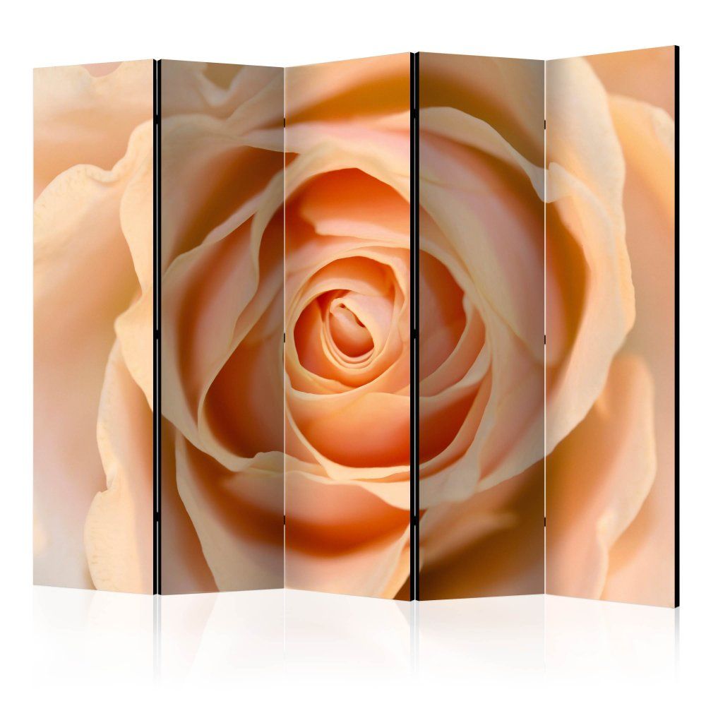 Artgeist Paraván - Broskyňová ruža II 225x172 plátno na drevenom ráme obojstranná potlač