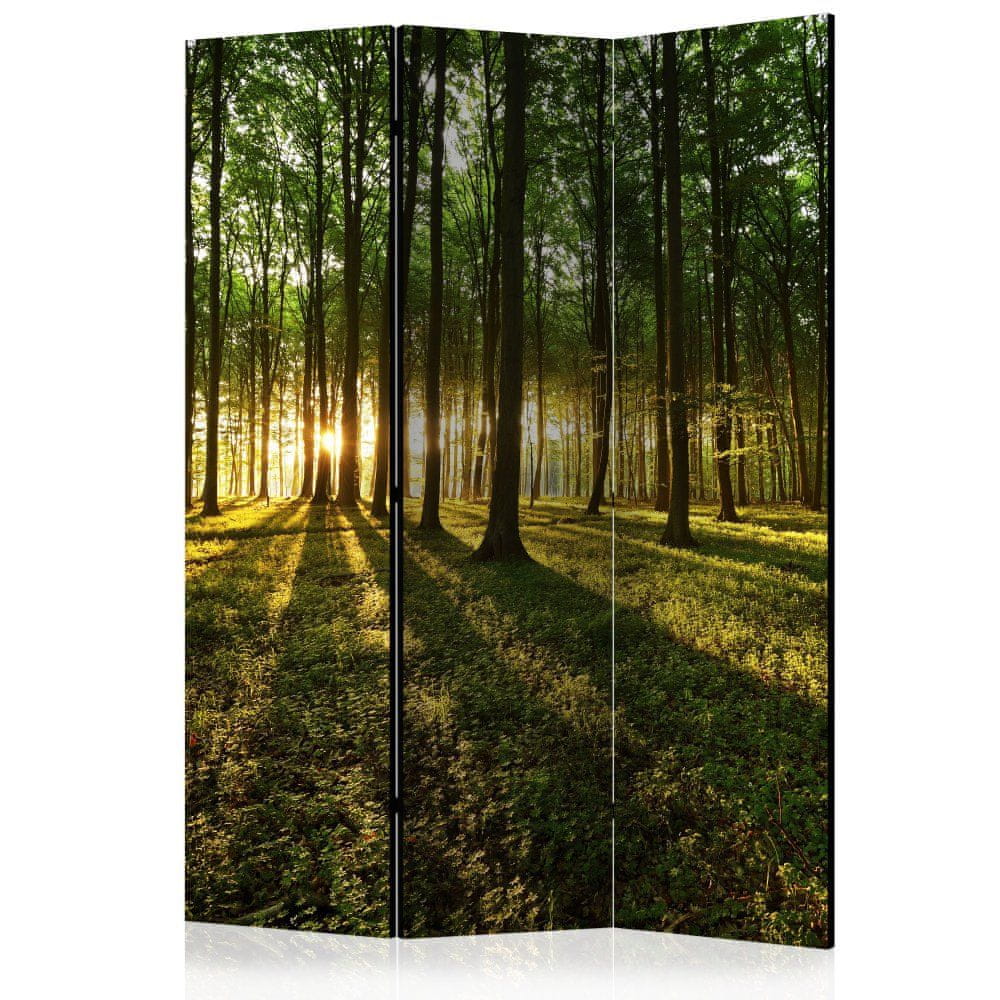 Artgeist Paraván - Ráno v lese 135x172 plátno na drevenom ráme obojstranná potlač