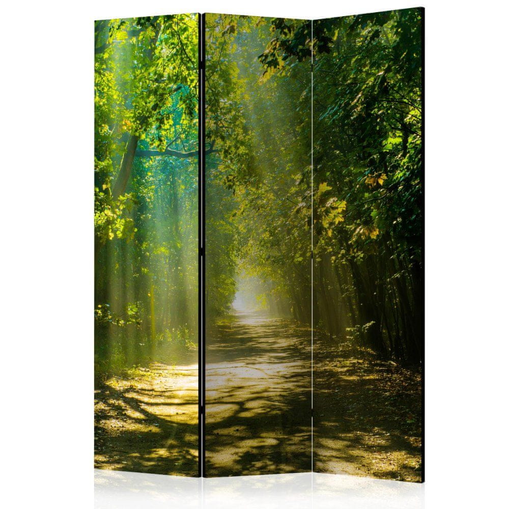Artgeist Paraván - Cesta v slnečnom svetle 135x172 plátno na drevenom ráme obojstranná potlač