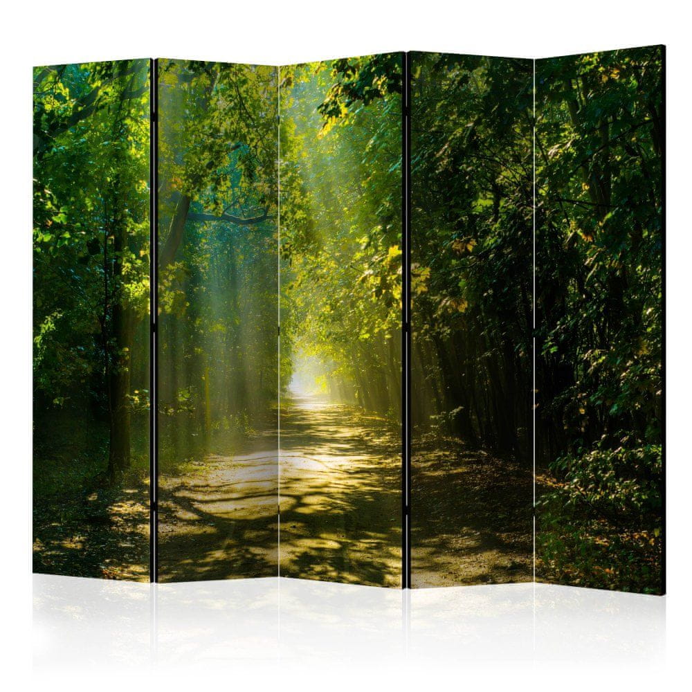 Artgeist Paraván - Cesta v slnečnom svetle II 225x172 plátno na drevenom ráme obojstranná potlač