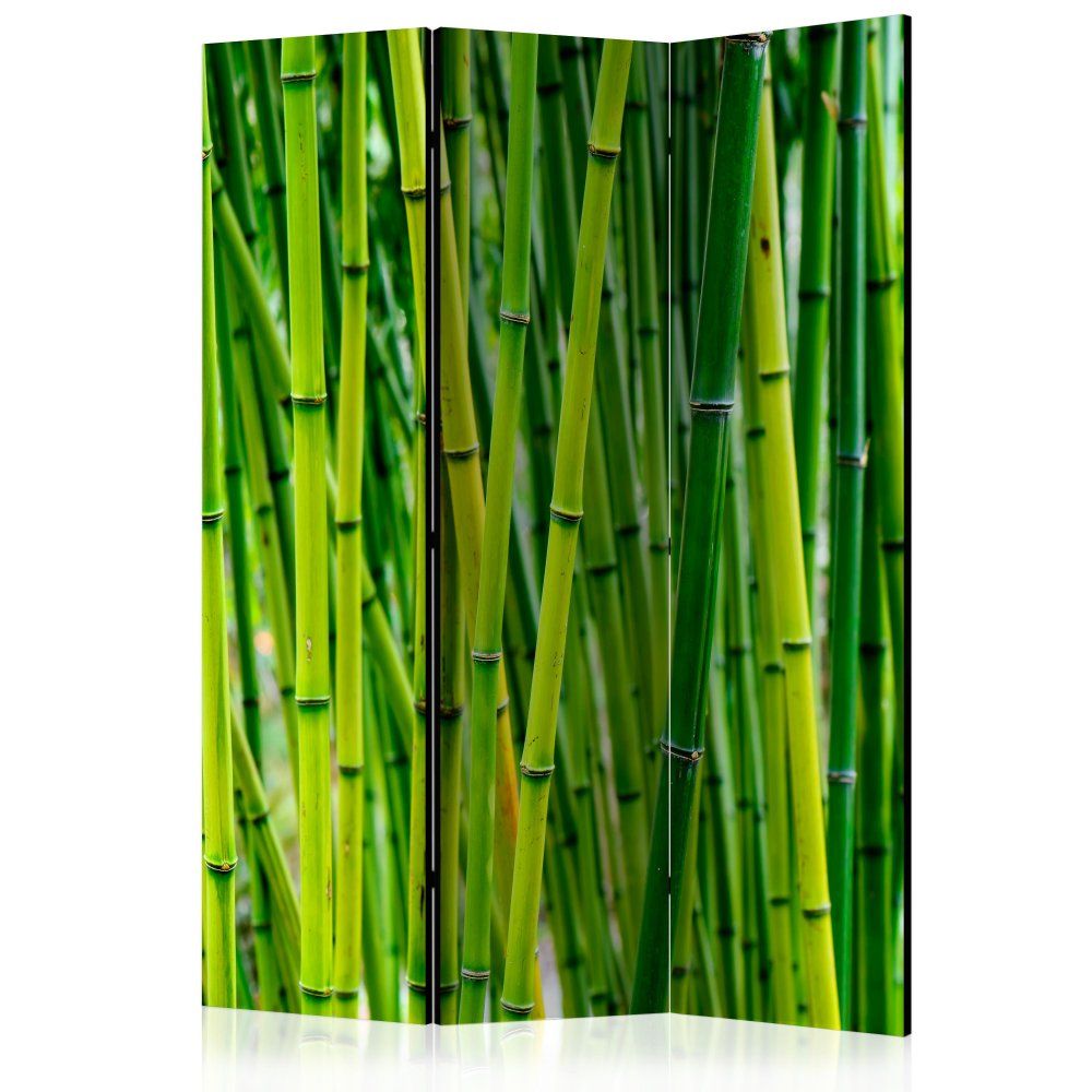 Artgeist Paraván - Bambusový les 135x172 plátno na drevenom ráme obojstranná potlač