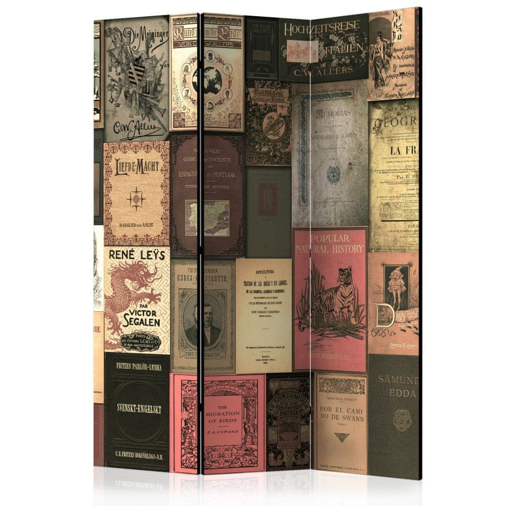Artgeist Paraván - Knihy raja 135x172 plátno na drevenom ráme obojstranná potlač