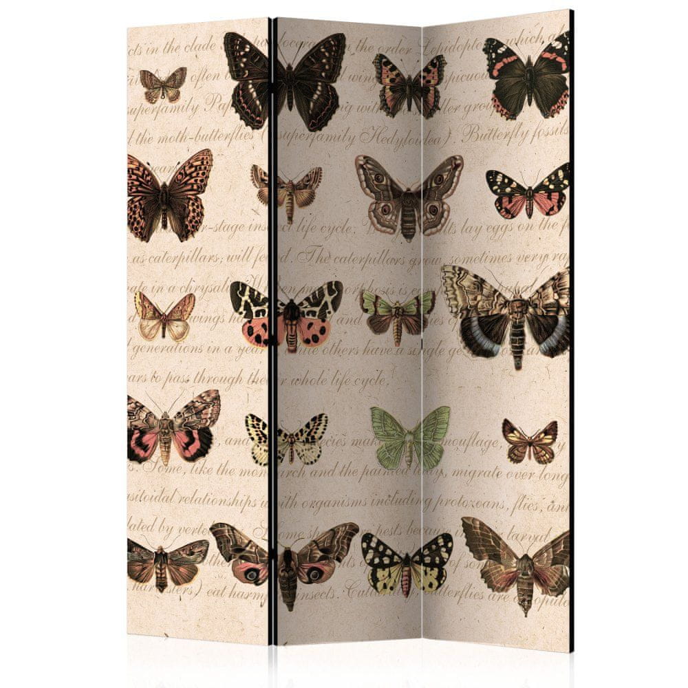 Artgeist Paraván - Retro štýl: Motýle 135x172 plátno na drevenom ráme obojstranná potlač